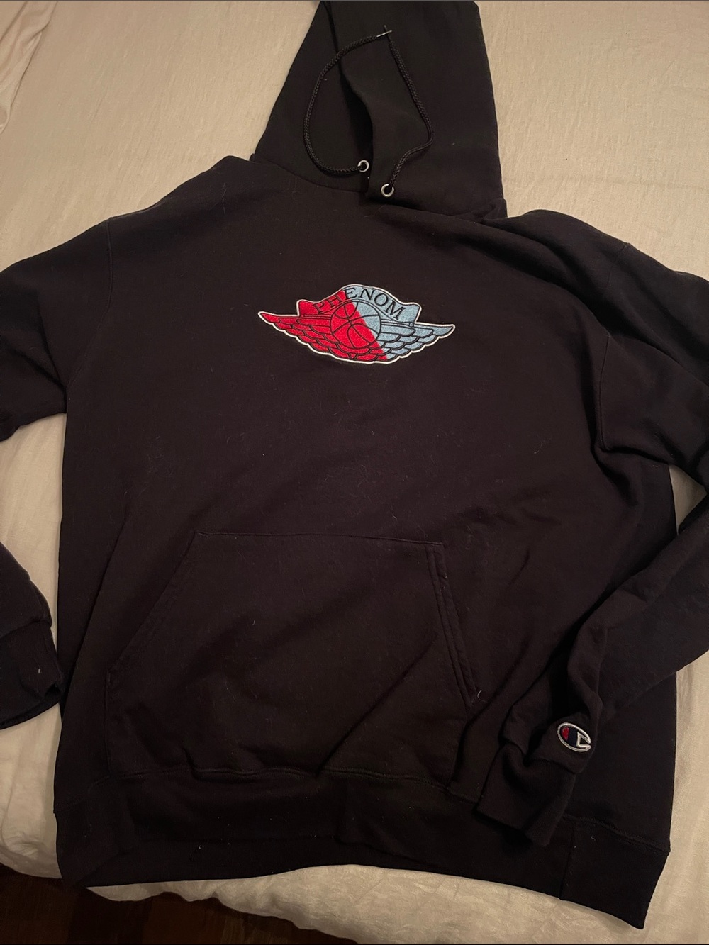 Champion x Phenom Jordan wings Pullover Hoodie large preowned